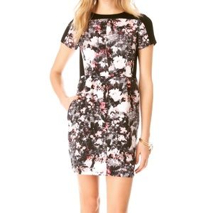 Club Monaco Willa Dress